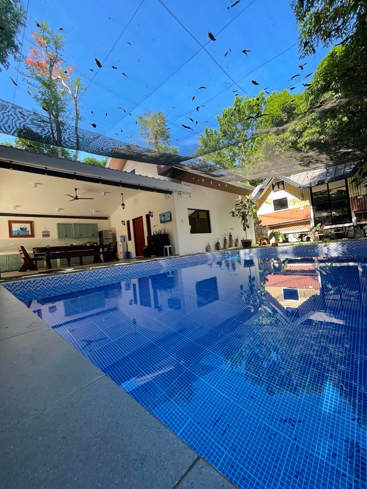 Modern Kubo with Pool